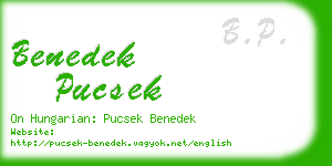 benedek pucsek business card